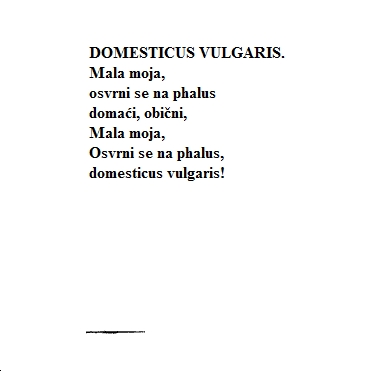 Tekst pjesme: Domesticus vulgaris