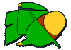 ŠAF Čakovec